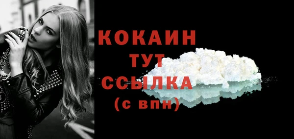 МДПВ Бронницы