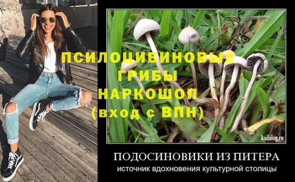 бошки Володарск