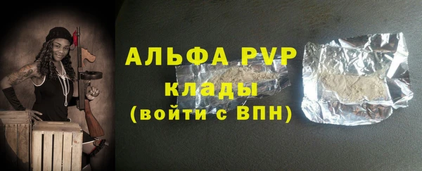 стафф Бородино