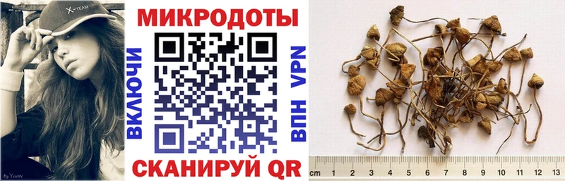 кракен ССЫЛКА Видное Галлюциногенные грибы мицелий дарнет шоп